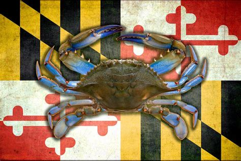 Maryland Flag Blue Crab by SwamphoxPhotography on Etsy | Maryland flag ...