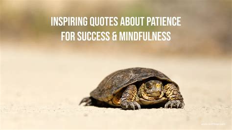 Inspiring Quotes about Patience for Success & Mindfulness - WishBae.Com