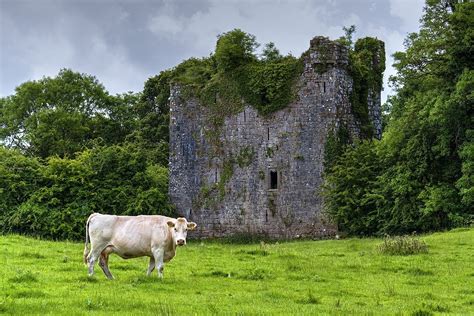 Castles In Galway Ireland - Castles Near Galway - Galway Castles | Galway