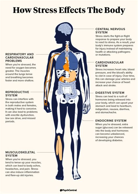 How Stress Affects You Physically I Psych Central