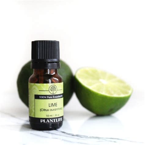 Lime essential oil is an amazingly zesty and citrus aroma perfect to ...