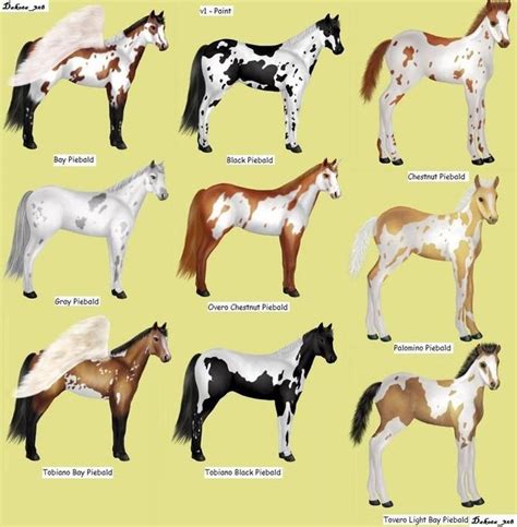 How to Distinguish Horse Color by Name: 4 Steps (with Pictures)