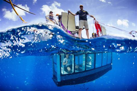 Aqua Sub - Glass Underwater Viewing Area For Great White Sharks