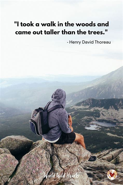 The World's Best Nature Quotes (WITH IMAGES)