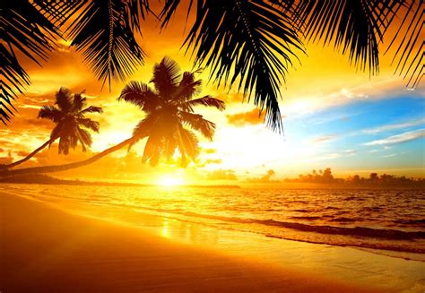 🔥 [50+] Tropical Sunset Wallpapers Desktop | WallpaperSafari