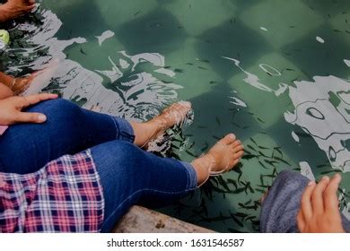 Fish Spa Rufa Garra Fish Spa Stock Photo 1631546587 | Shutterstock