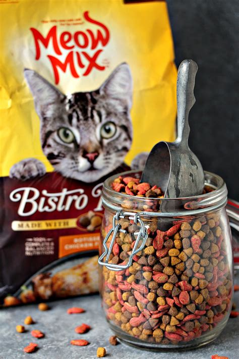 Meow Mix Bistro and Why I'm a Cat Obsessed