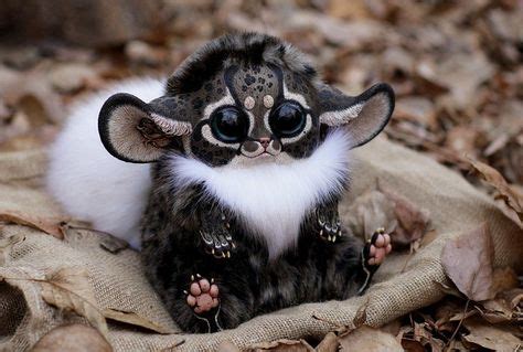 Gremlin | Cute baby animals, Baby animals, Cute animals