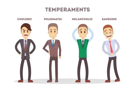 4 types of temperament: description of types. Choleric, sanguine, melancholic, phlegmatic.