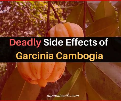 4 Deadly Garcinia Cambogia Side Effects (Research Backed)