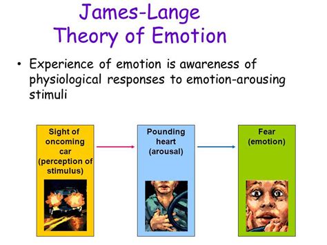 what is the james lange theory of emotion in psychology