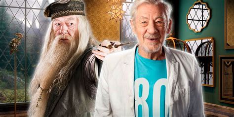 Harry Potter: Ian Mckellen Said No - But Would He Have Made a Better ...