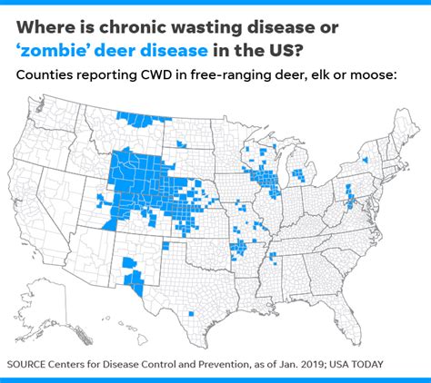 Zombie deer disease: How to avoid getting CWD, according to CDC