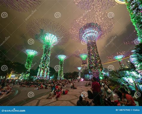 People Watching Supertrees Night Light Show at Gardens by the Bay ...