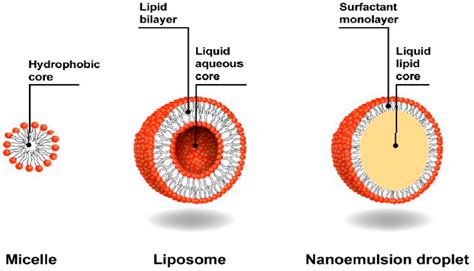 Nanomaterials | Free Full-Text | Synthesis and Technology of Nanoemulsion-Based Pesticide ...