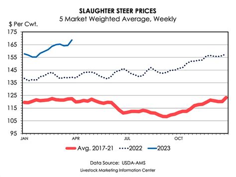 Cattle prices high, undercut by costs and inflation