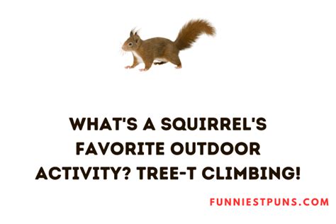 160+ Funny Squirrel Puns And Jokes for Hilarious Moments!