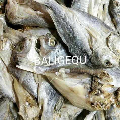 Jual Ikan Asin Kepala Batu Belah 1 Kg di Lapak Baligequ | Bukalapak