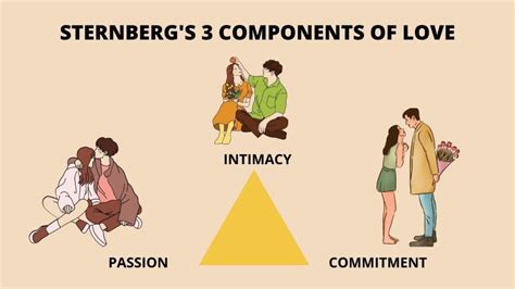 Sternberg’s Triangular Theory of Love - Psychopedia - Psychology ...