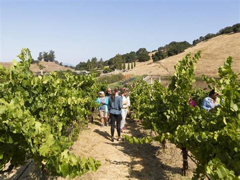 Napa and Sonoma Wine Country Tour Tickets | San Francisco | TodayTix