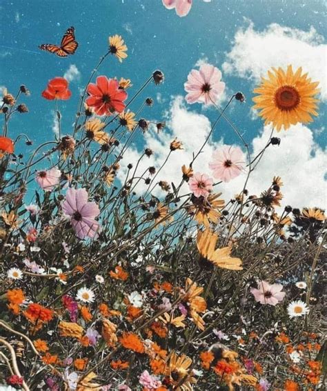 Ale🌹🍃 on Twitter | Aesthetic wallpapers, Art, Flowers