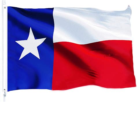 G128 Texas State Flag 150D Quality Polyester 3x5 ft Printed Brass Grommets Flag Indoor/Outdoor ...