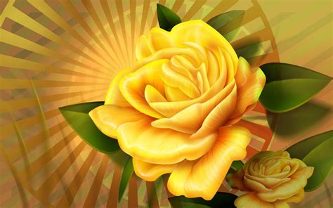 Yellow Rose Wallpapers | HD Wallpapers | ID #5692