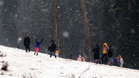 Fresh snowfall in Gulmarg; upper reaches in Kashmir, Ladakh