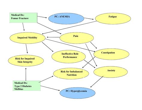 40+ Concept Map Templates [Hierarchical, Spider, Flowchart]