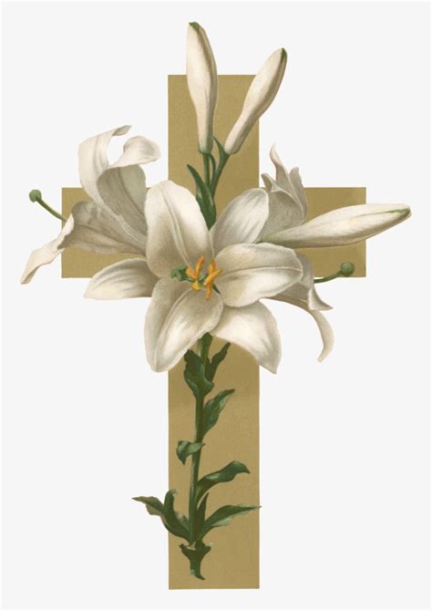 Easter Lily Christian Cross Flower Funeral Clip Art - Sorry To Hear Of ...