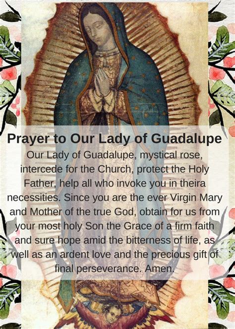 Feast of Our Lady of Guadalupe - Catholic Mommy Blogs | Catholic prayers daily, Catholic prayers ...