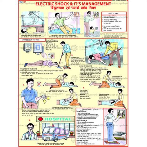 18 x 24 Inch Electric Shock Treatment Chart Manufacturer, Supplier, Trader in Vadodara, Gujarat ...