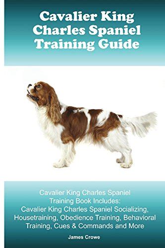 Cavalier King Charles Spaniel Training Guide. Cavalier King Charles Spaniel Training Book ...