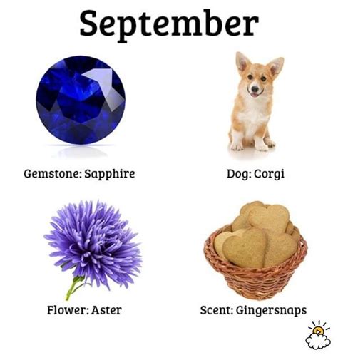 Each Birth Month Has A Special Dog, Scent, Gem, And Flower. What's ...