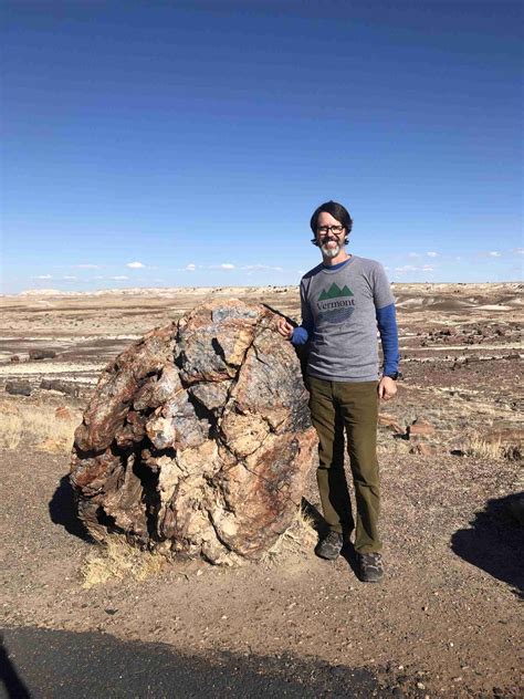 How to Spend One Day in Petrified Forest National Park