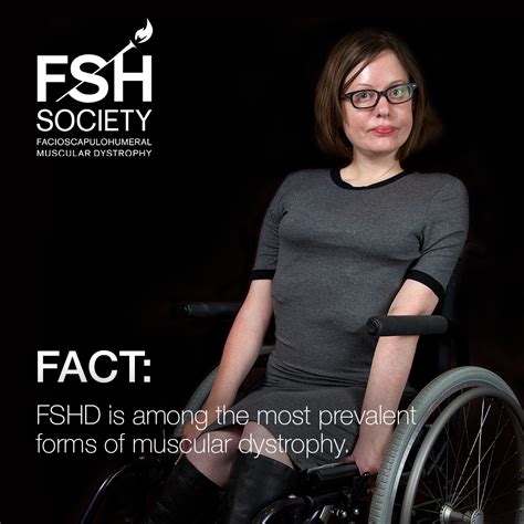 FSH Society Awards $485,000 in Grants for Research Dedicated to FSH ...