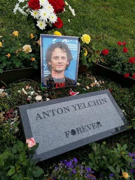 Pin by harley grayson on Anton Yelchin | Anton yelchin, Famous graves ...