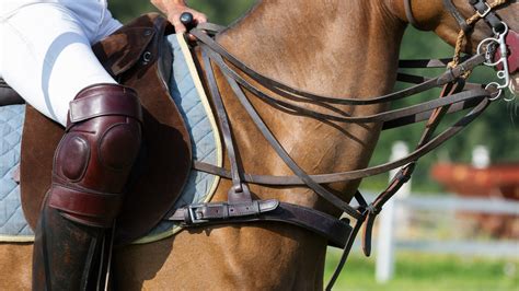 How To Measure A Saddle Seat English | Cabinets Matttroy