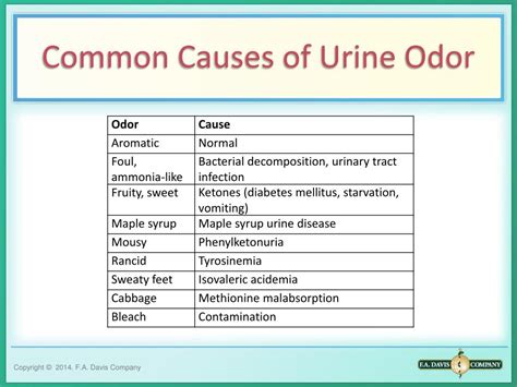 Can Ovarian Cysts Cause Urine Odor – Coach M Morris