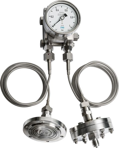 double diaphragm differential pressure gauge with capillary and seals ...