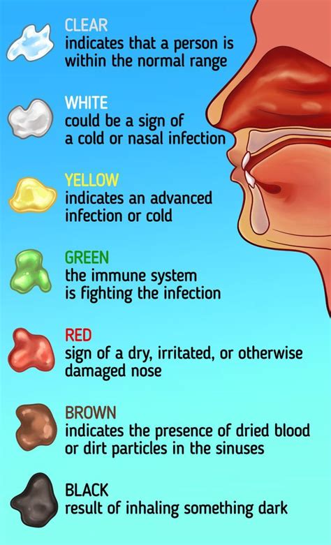 What Snot Is and What Its Color Means in 2022 | Nasal infection, Health facts, Runny nose