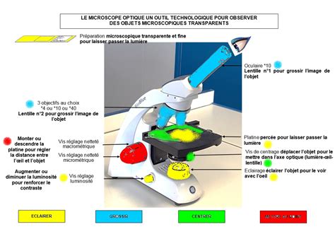 SVT PC 3 (TP2) : Utiliser le microscope - Chapitre 2 - COLLEGE PYRENEES