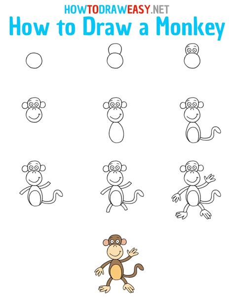 How to Draw a Monkey for Kids - How to Draw Easy