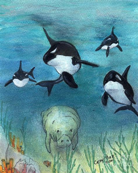 Orca Whale Pod Manatee Underwater Art Cathy Peek Painting by Cathy Peek ...