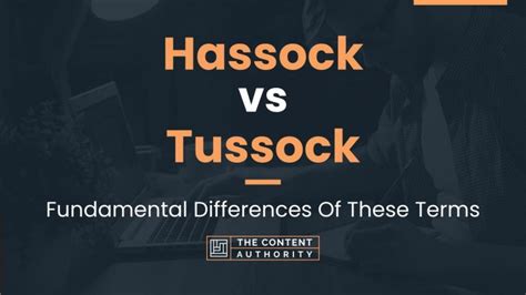 Hassock vs Tussock: Fundamental Differences Of These Terms