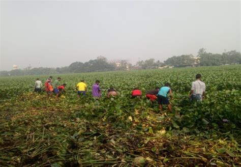 Migratory Birds Return To Kolkata’s Santragachi Lake After Citizen Led Clean-Up Drive | Swachh ...