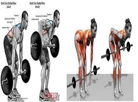 How to Barbell Row And Benefits: Your Guide to the Proper Form ~ www ...