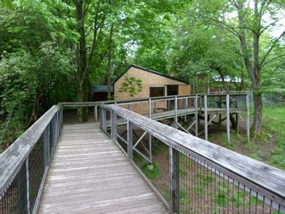 Animal Exhibits and Trails | Squam Lakes Natural Science Center | Science and nature, Science ...