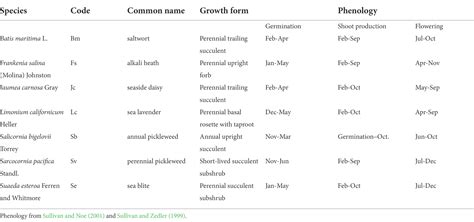 Frontiers | Salt marsh restoration surprise: A subordinate species ...