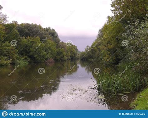 Oka River on a cloudy day. stock image. Image of river - 134225613